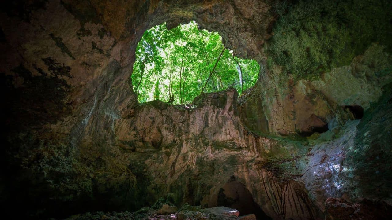 Santo Domingo: Los Haitises National Park Day Trip