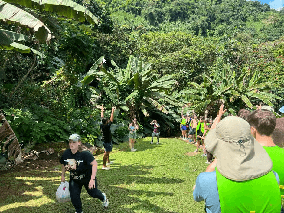El Yunque Rainforest Waterslides and Beach Tour & Transport - Dominican Republic