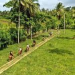 Punta Cana: Xploration Animal Park Bus Tour with Encounters