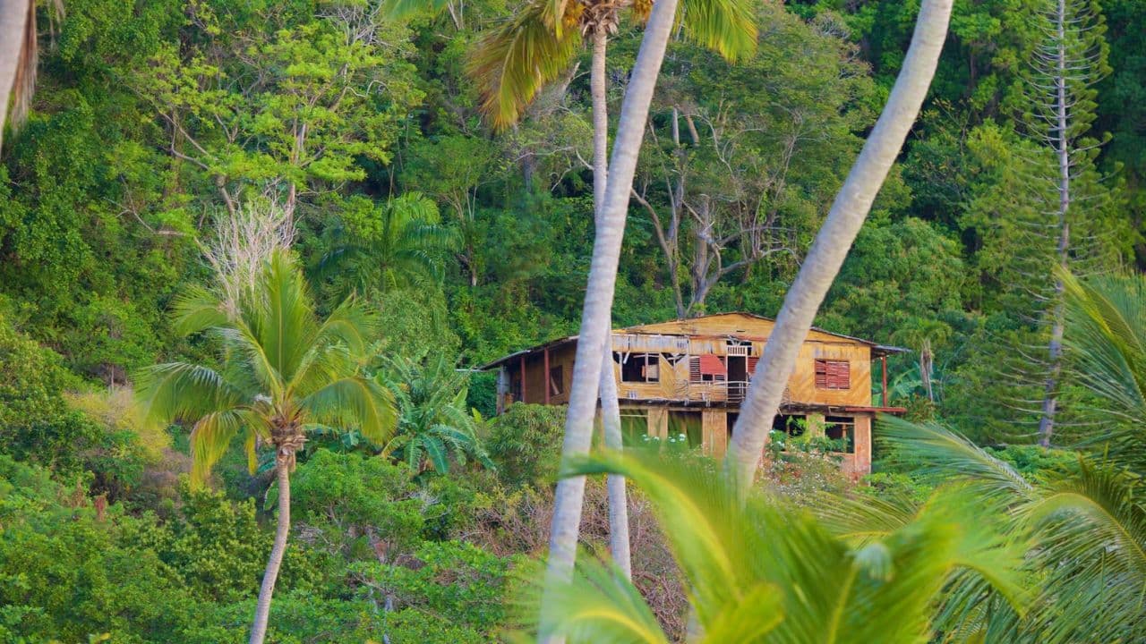 Juan Dolio: Samana, El Limon Waterfall and Cayo Levantado