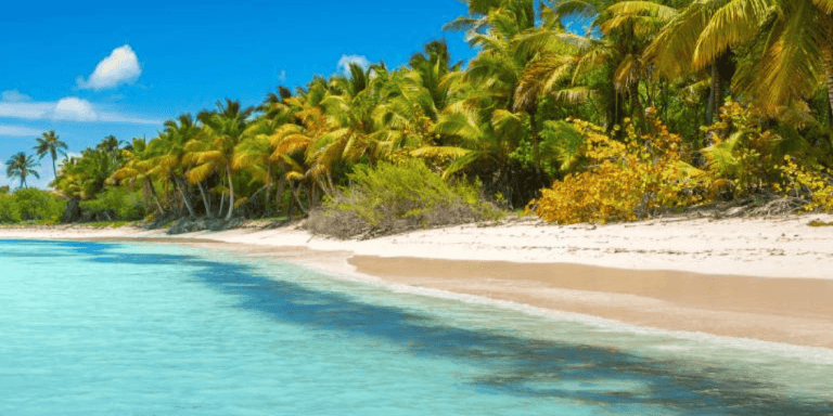 Punta Cana: Saona Island Catamaran Pick up Hotel - Photo 3 (Gallery view)