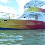 Punta Cana Party: Booze Cruise with Open Bar - Photo 3 (Gallery view)