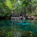 Swim in the Cenotes Ojos Indígenas - Photo 2 (Gallery view)