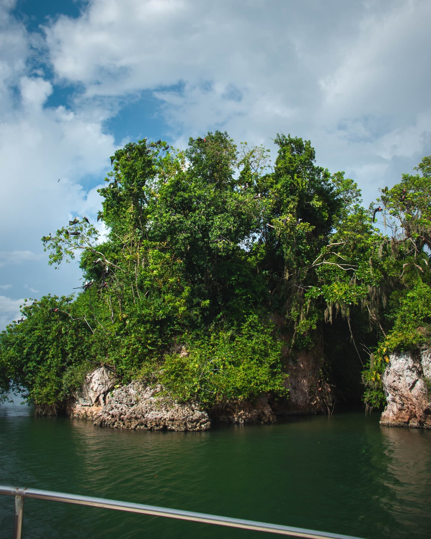Samana : excursion d'une journée au parc national Los Haitises et à Caño Hondo - Photo 2 (Gallery view)