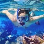 Saona Island Tour from Santo Domingo