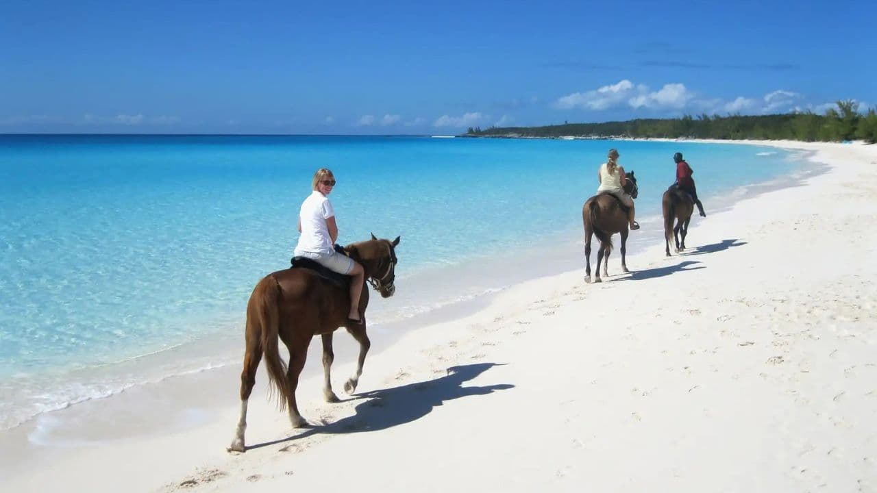 Puerto Plata: Horseback Riding on the Beach