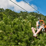 El Limón: ziplining avanti - Photo 5 (Gallery view)