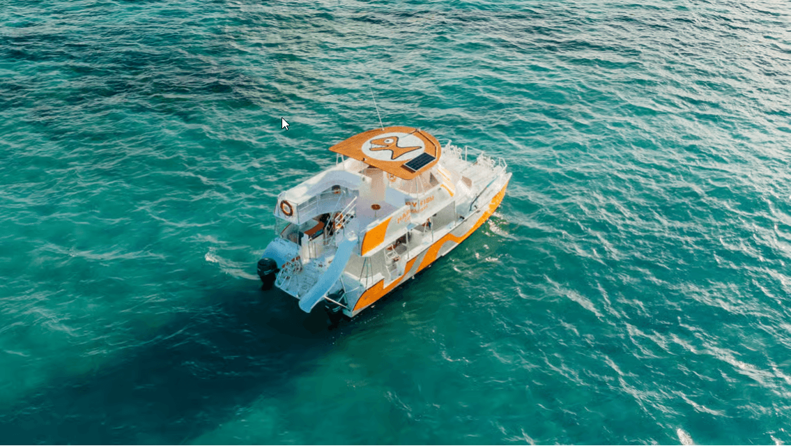 Punta Cana: Catamaran Tour with Food, Drinks, and Snorkeling - Photo 3 (Gallery view)