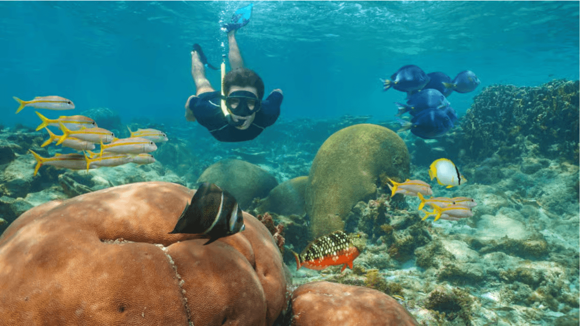 Catalina Island All Inclusive: Schnorcheln, tropischer Strand und Mittagsbuffet - Photo 3 (Gallery view)