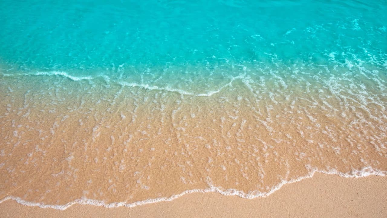 Punta Cana: Full Day Excursions Samana Island Bacardi