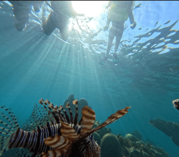 Snorkelling at Coral Beach + Saturn Cave