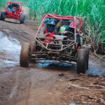 From Bayahibe: Half-day La Romana ATV or 4X4 Buggy Tour