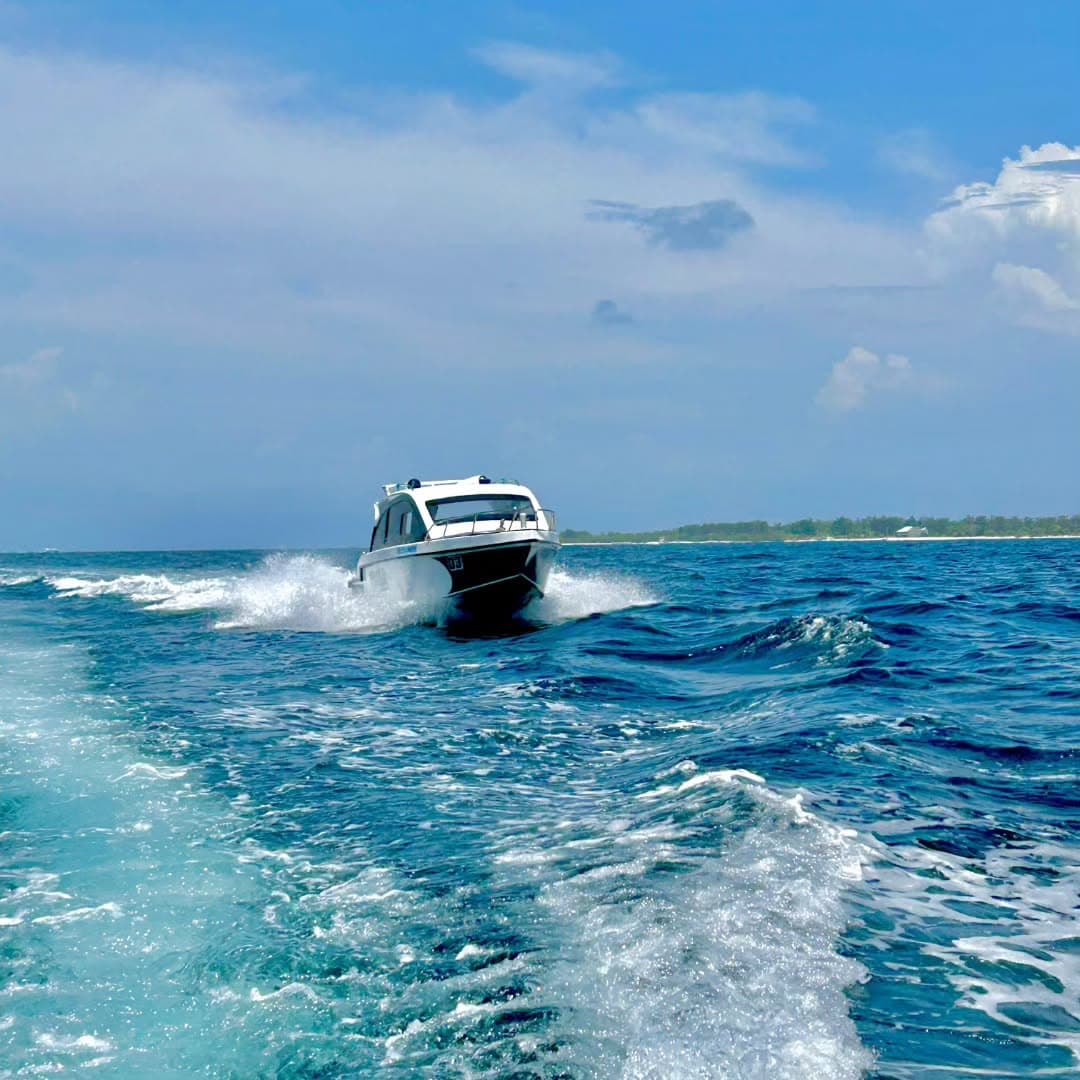 Las Terrenas: Just Los Haitises Boat and Walking Tour - Photo 4 (Gallery view)