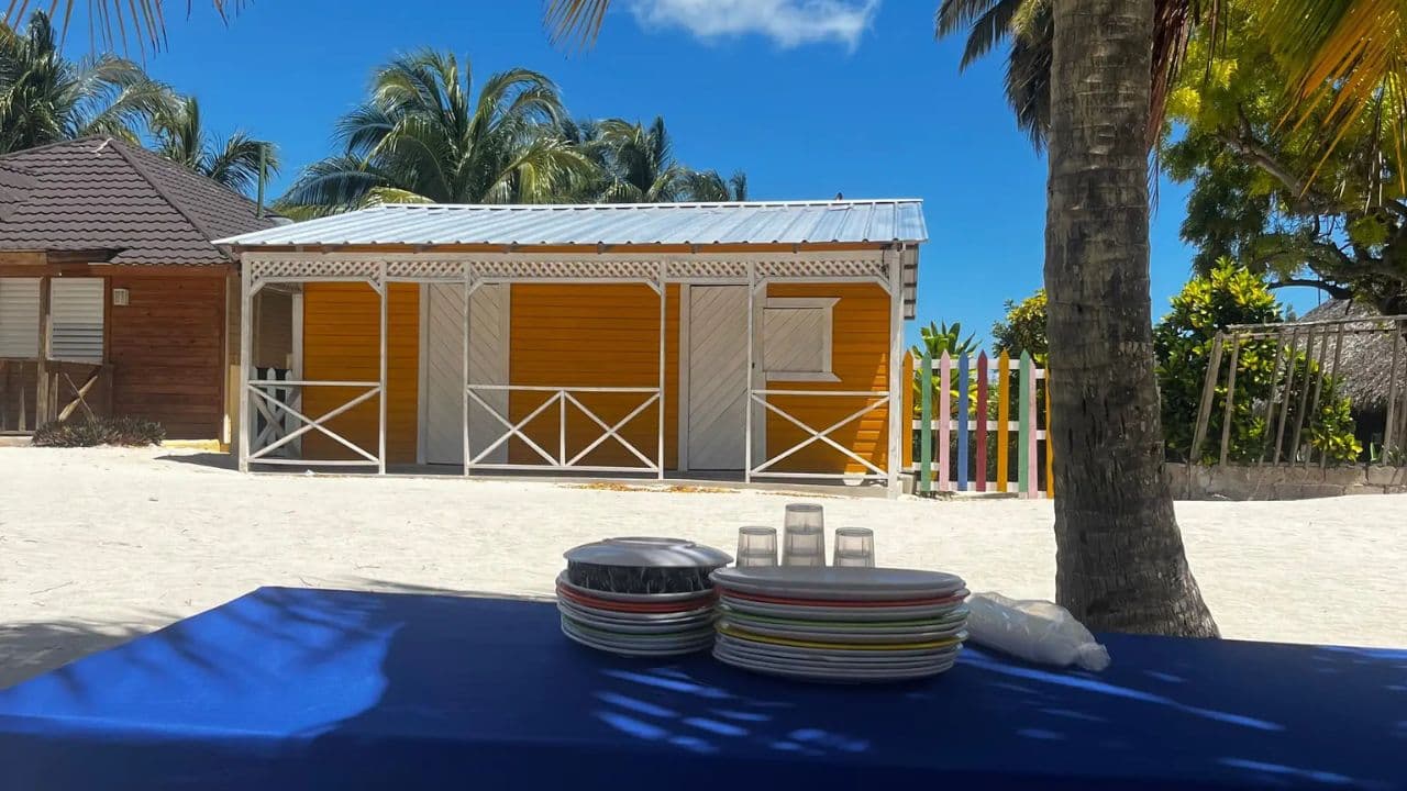 From La Romana: Saona Island for Carnival Cruises Passengers