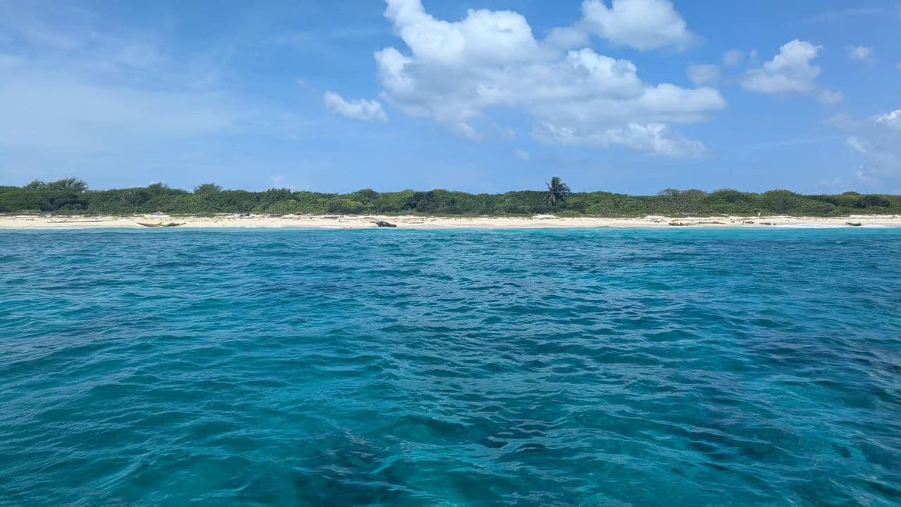 Full-Day at Catalina Island from Santo Domingo