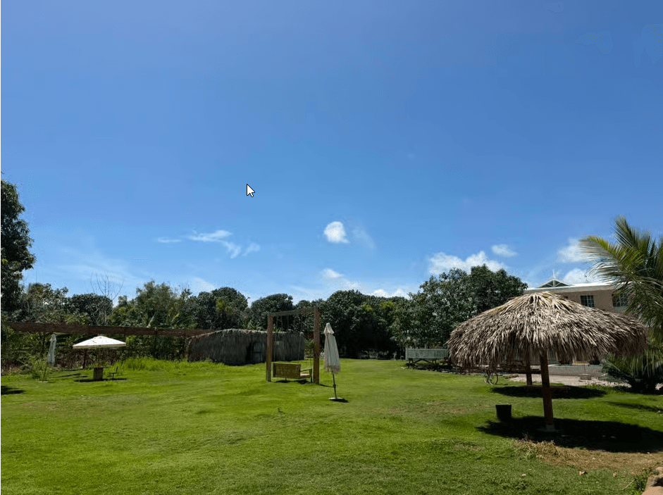 Monkey House VIP – Exklusives Erlebnis in Punta Cana - Photo 5 (Gallery view)