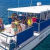 Saona Island Private +10 People - Photo 4 (Gallery view)