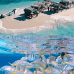 Cayo Arena: Paradise Island Tour Sosua o Cabarete - Photo 5 (Gallery view)