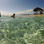 Cayo Arena: Paradise Island Tour Sosua o Cabarete