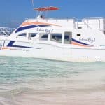 From Puerto Plata: Cayo Arena Private Catamaran Trip & Lunch - Photo 2 (Gallery view)