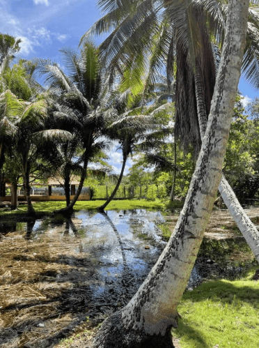 Guama and Hatiguanico River Trip