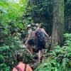 Tour TODO INCLUIDO en Sendero Acuático Cueva de la Virgen