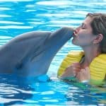 Punta Cana: Swim with Dolphins in the Pool - Photo 3 (Gallery view)
