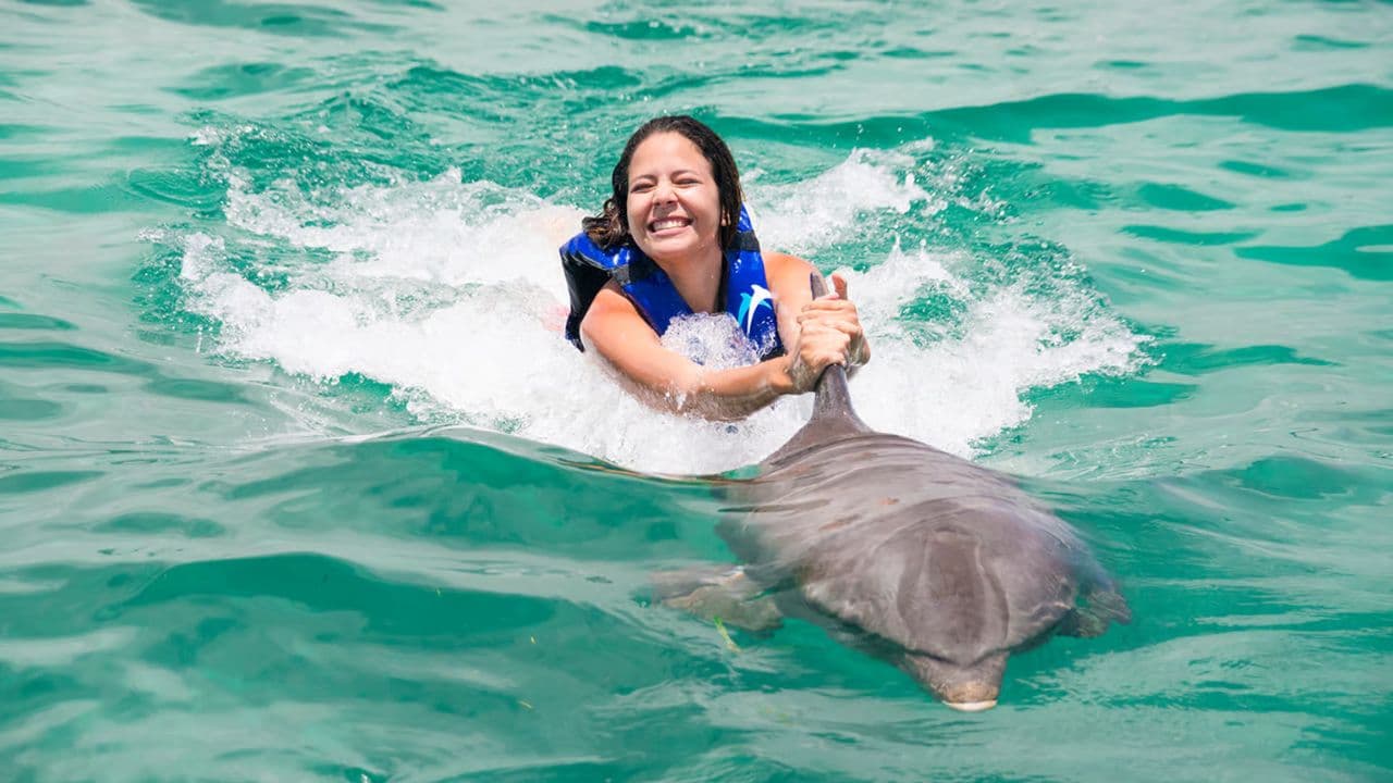 Swim with Dolphins in Punta Cana