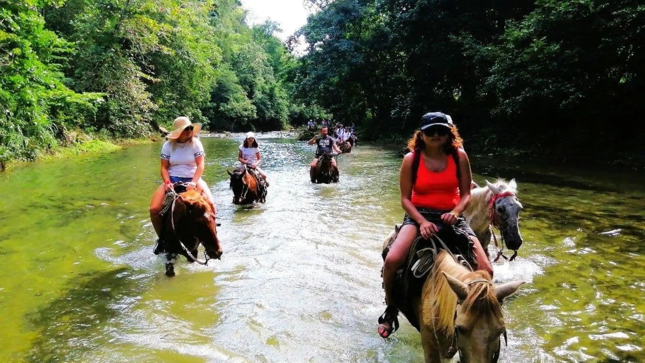 From Puerto Plata: Horseback ride along the mountain river - Photo 3 (Gallery view)