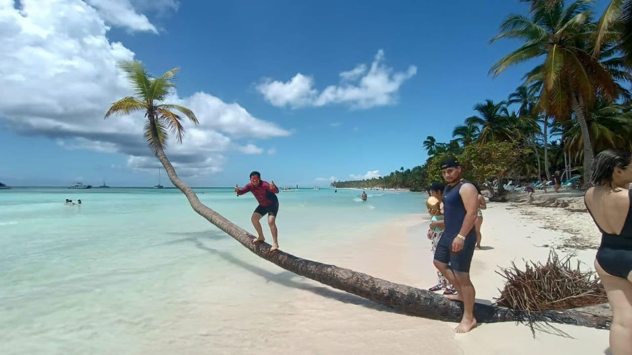 Saona Island From Punta Cana Dominican Republic Book Now