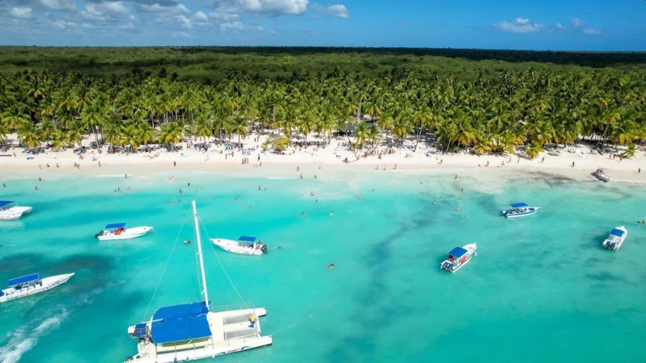 From Punta Cana: Saona Island Day Trip with Buffet Lunch