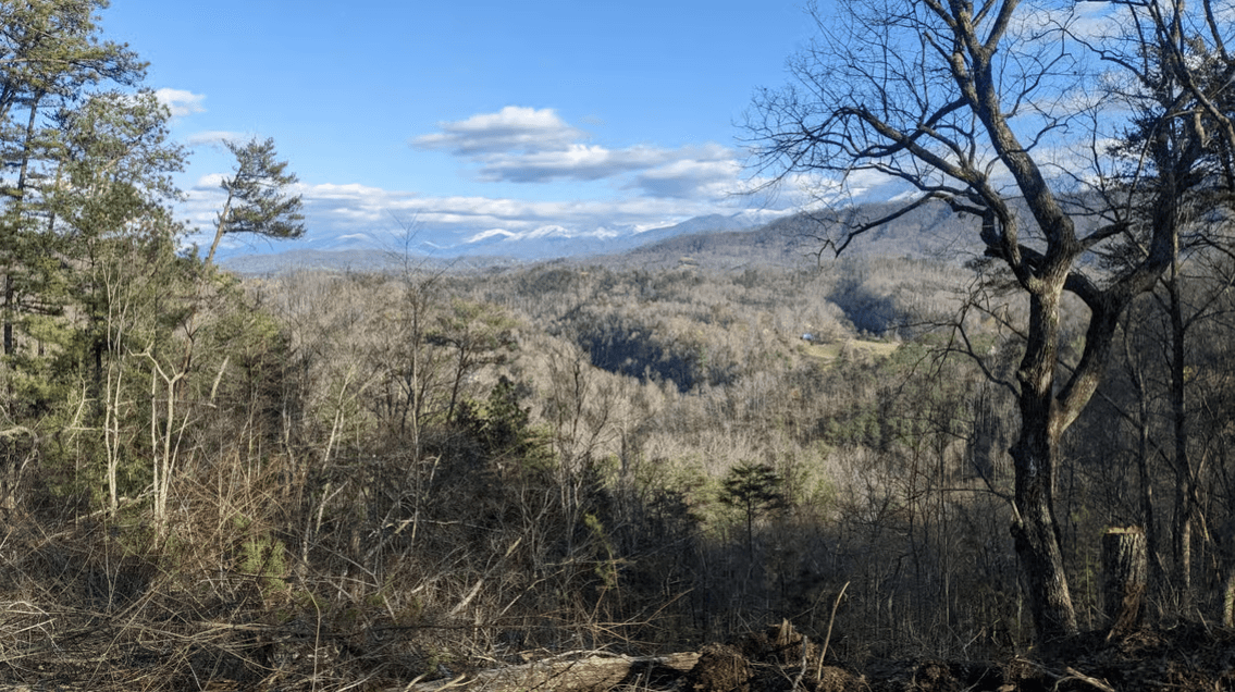 Gatlinburg: Eintrittskarte für den Anakeesta Adventure Park - Dominican Republic