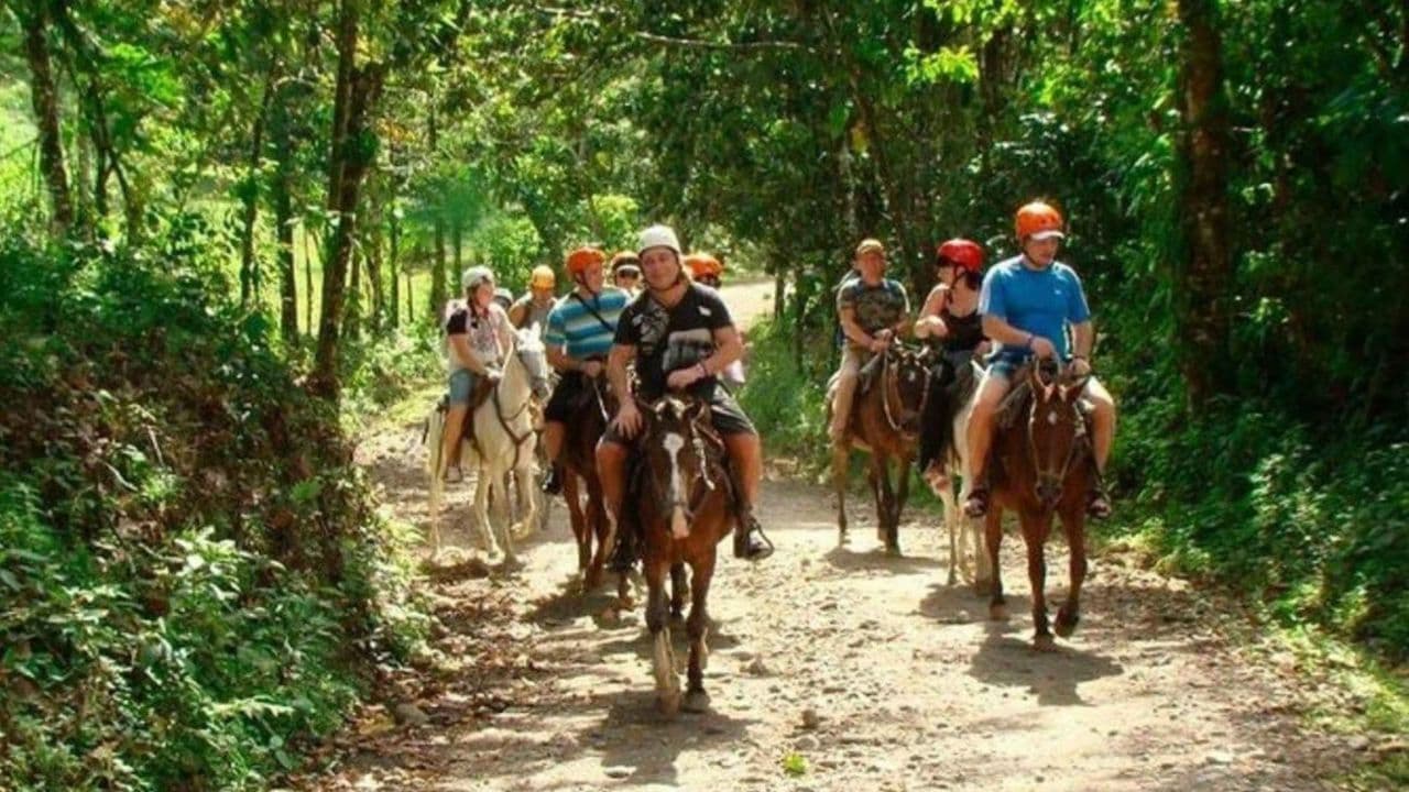 Punta Cana: Cayo Levantado & Bacardi Island Trip with Lunch - Photo 4 (Gallery view)