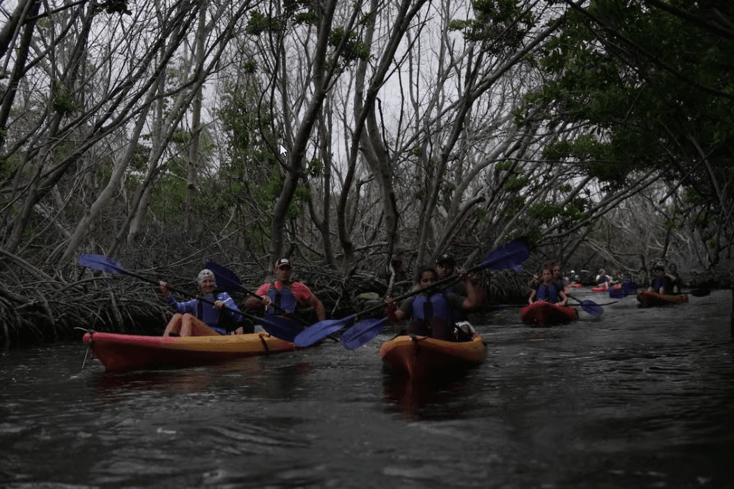 Fajardo: Kajaktour in der biolumineszierenden Bucht in Puerto Rico - Photo 3 (Gallery view)