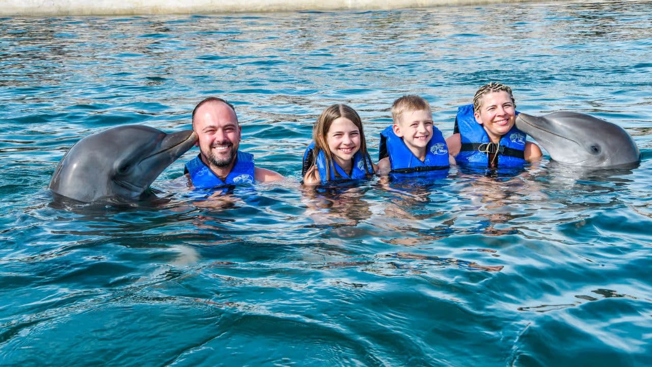 Saona Island: Catamaran Tour to Saona Island All Inclusive - Dominican Republic