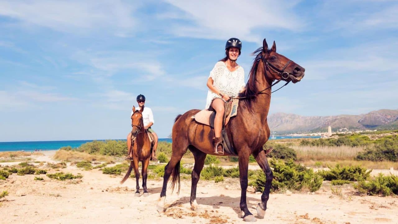 2hour horseback riding adventure on the beach jungle & river