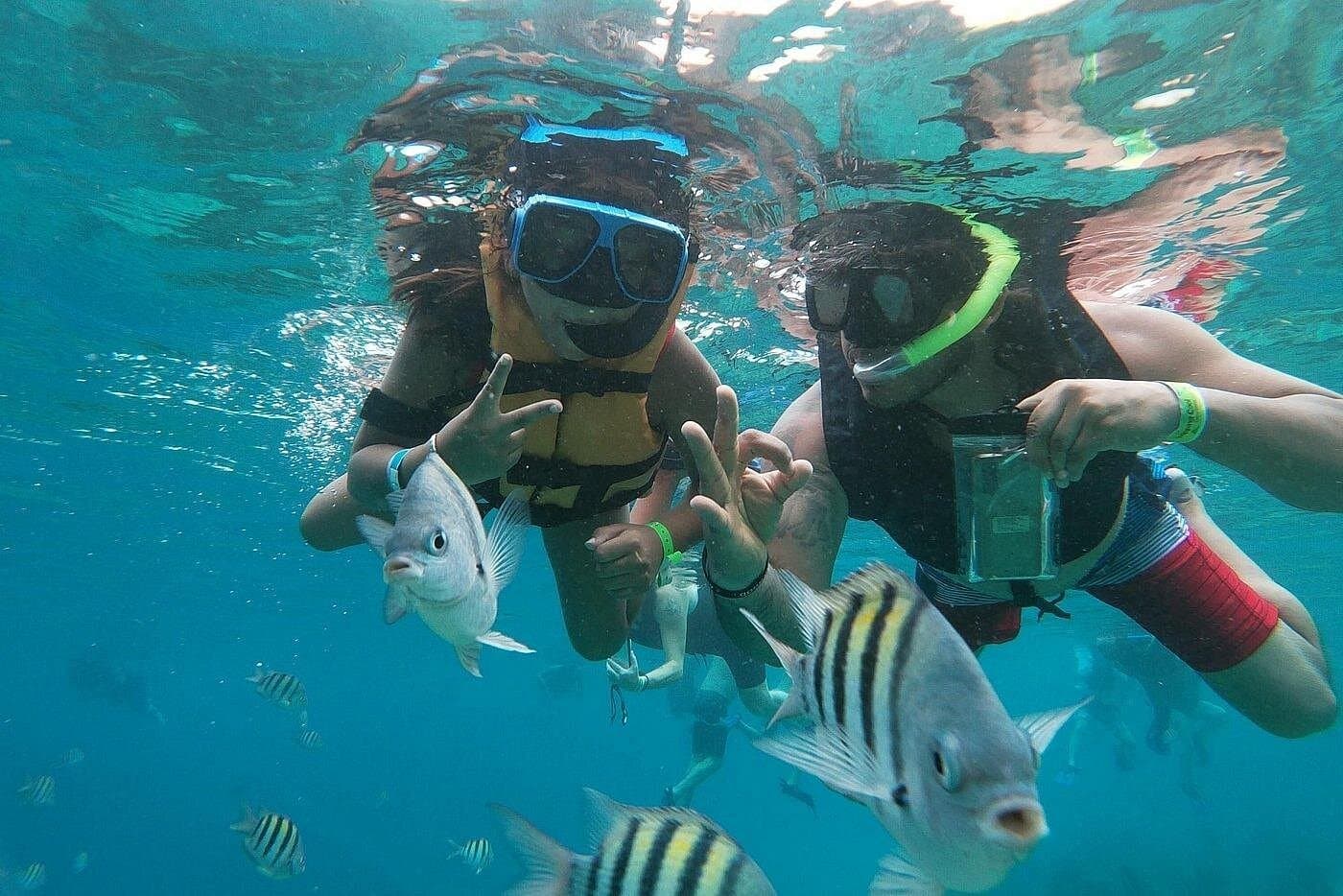 Deluxe Day Pass at Chankanab Park Cozumel with Snorkeling