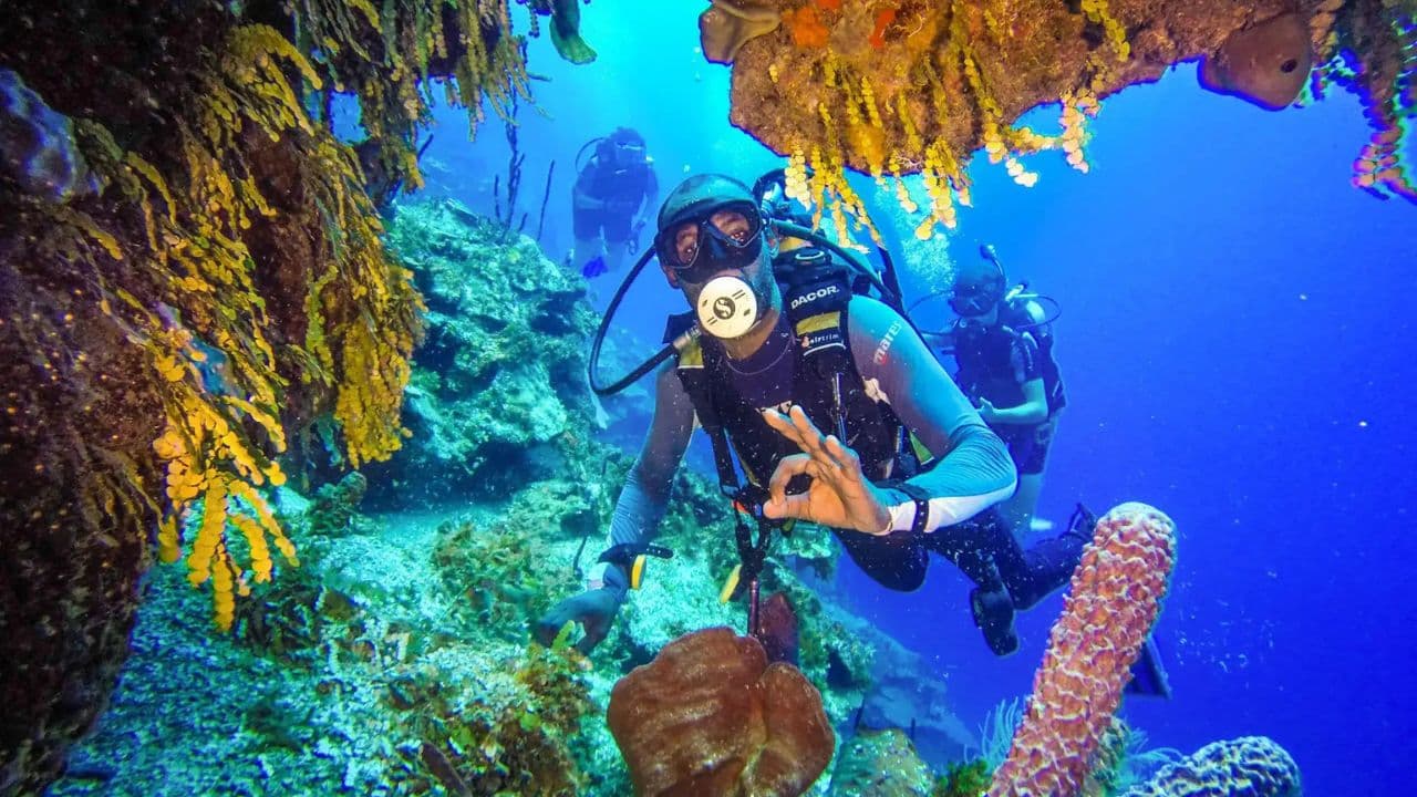 Punta Cana 40ft Recreational Diving Adventure - Photo 3 (Gallery view)