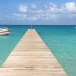Punta Cana: Saona Island Day Trip with VIP Option - Photo 4 (Gallery view)