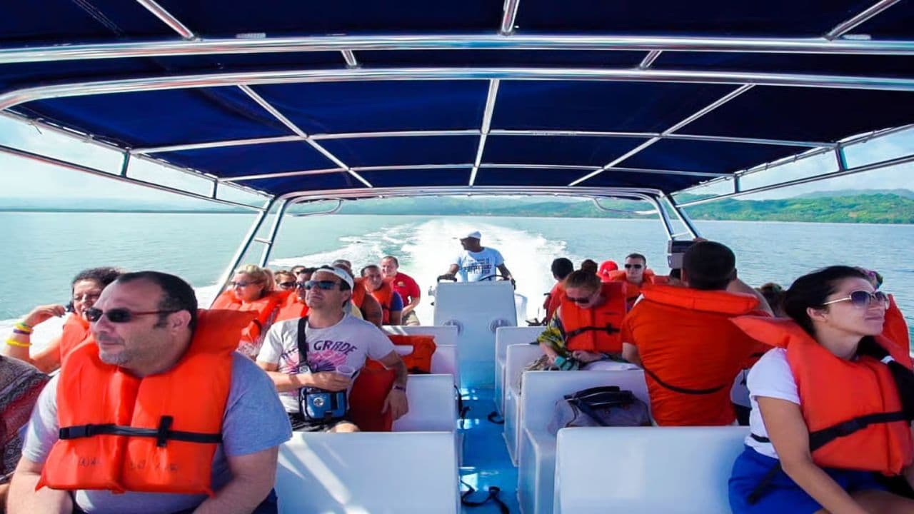From Punta Cana: Samana Day Trip