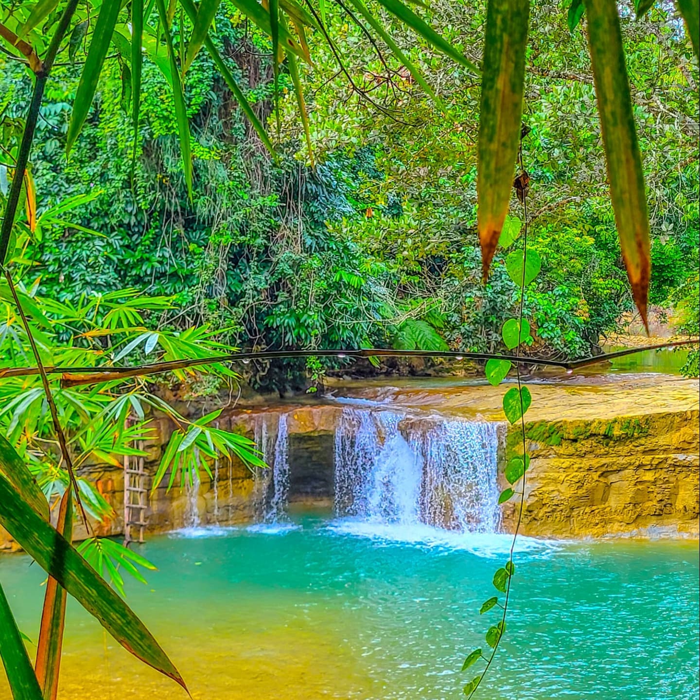 Los Haitises National Park + Yanigua Waterfall + Redonda Mountain - Photo 4 (Gallery view)
