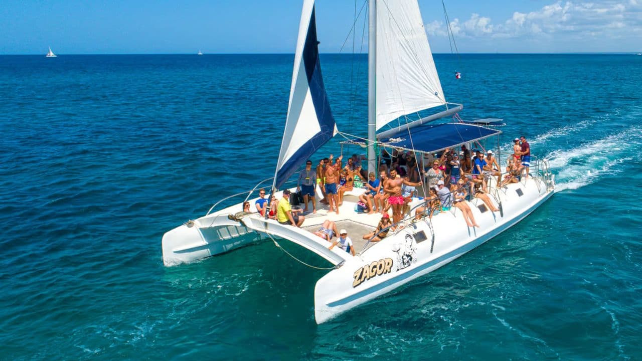 Punta Cana : journée complète sur l'île Saona avec buffet et prise en charge - Photo 5 (Gallery view)