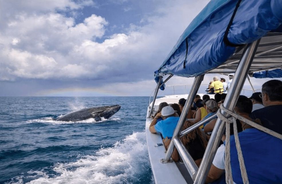 Samaná Nature Trip: Ein Leitfaden zur mehrtägigen Reiseplanung
