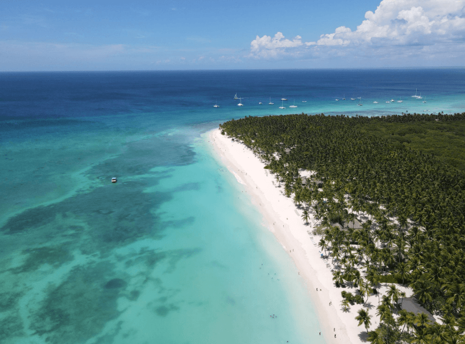 Saona Island vs. Catalina Island: Welche sollten Sie besuchen?