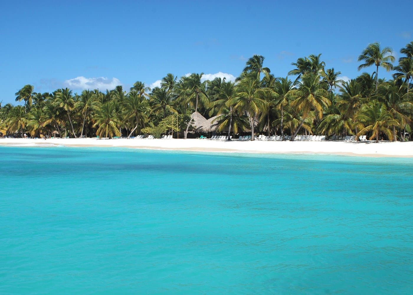 Saona Island Boat Ride From Punta Cana: What to Expect