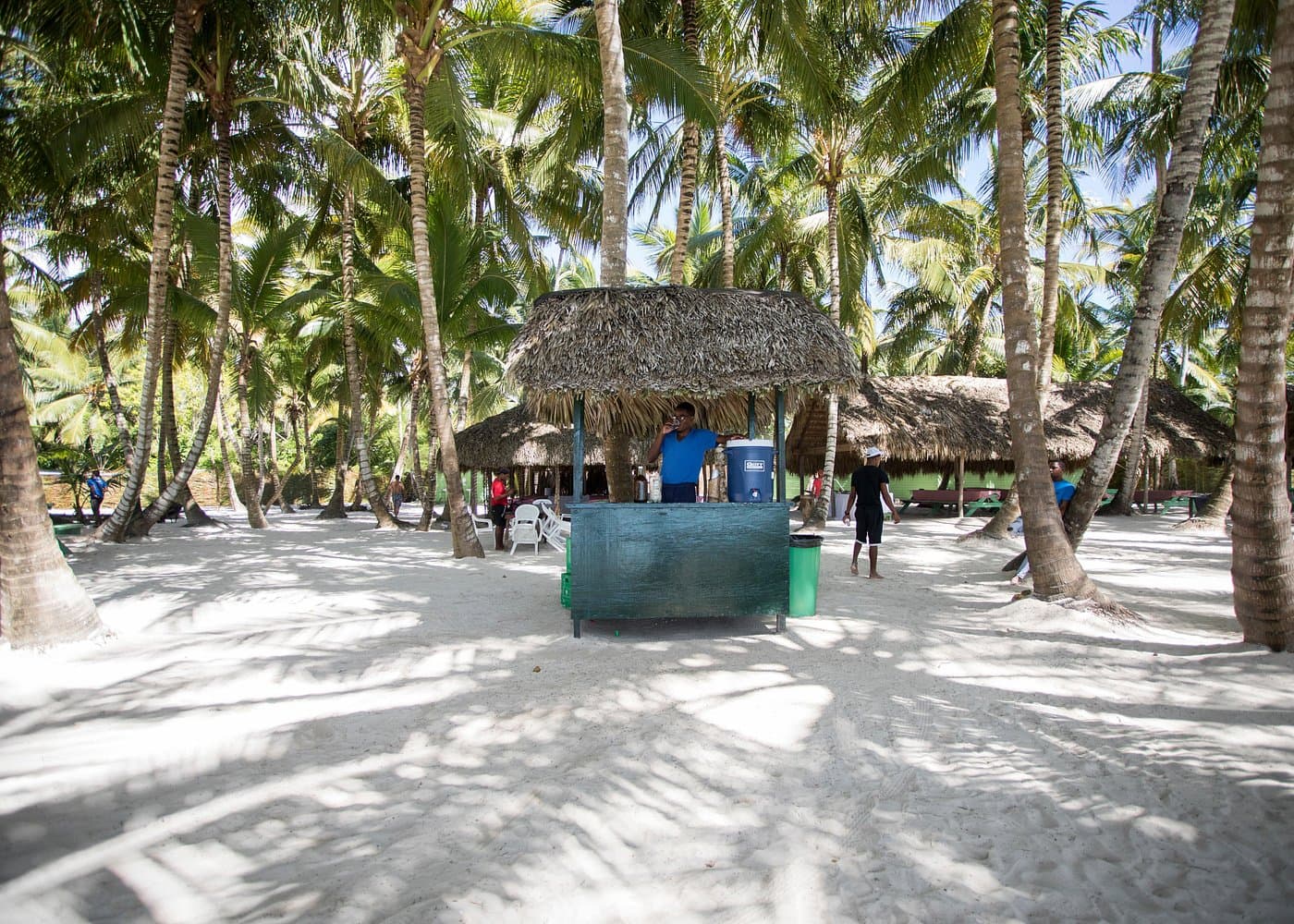 Truffe del tour dell'isola di Saona: 12 bandiere rosse di prenotazione
