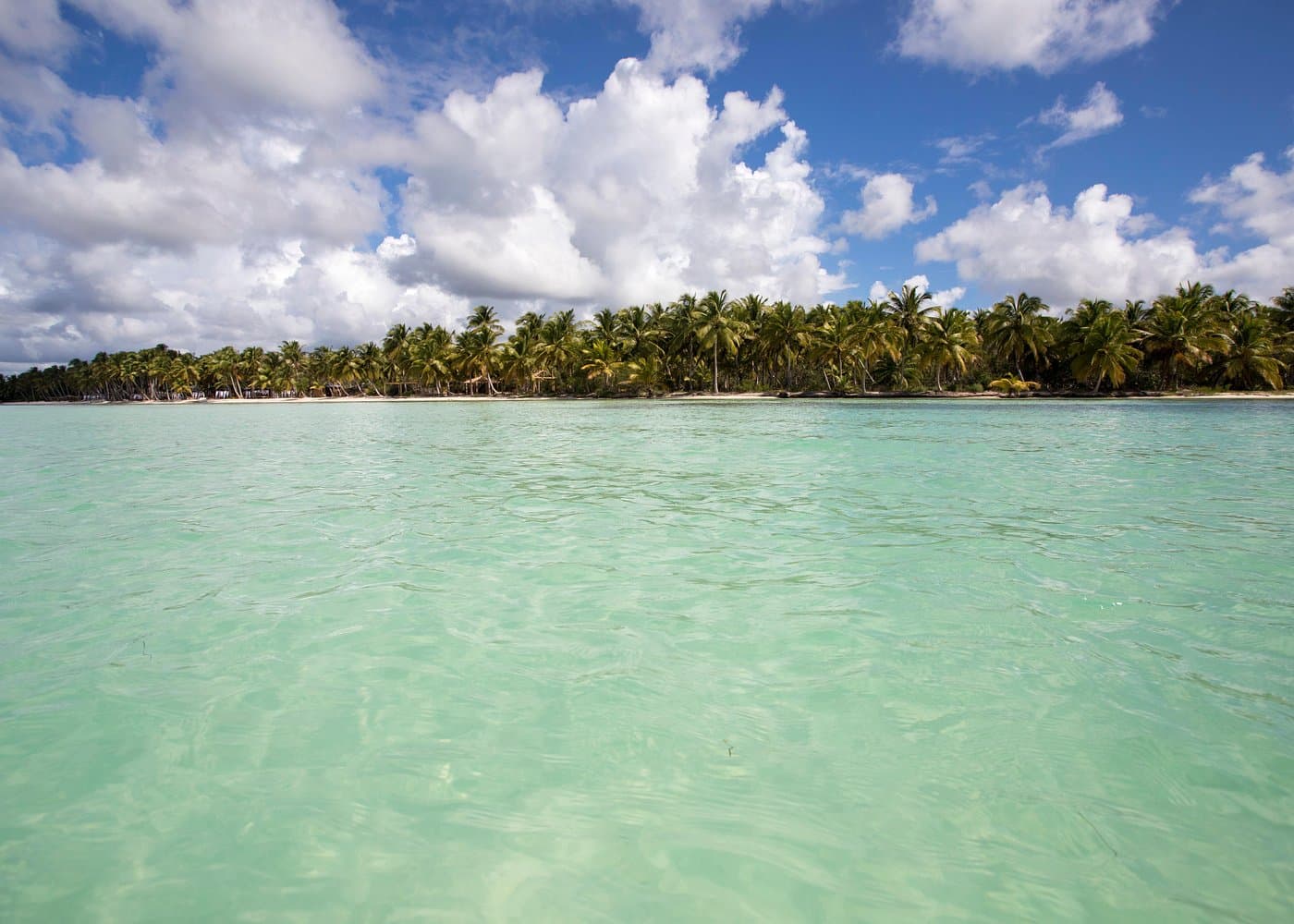 Cómo elegir un operador turístico en la isla Saona