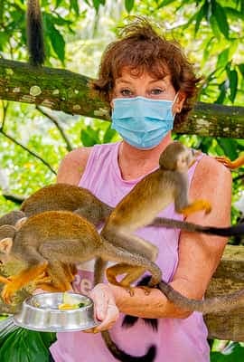 From Punta Cana: Jungle Buggy Ride & Monkeyland Guided Tour