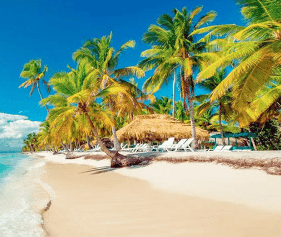 Punta Cana :Saona Island Paradise full-Day Escape - Dominican Republic