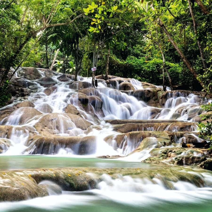 Ochos Rios: Full Day Dunn's River and Blue Hole with Lunch